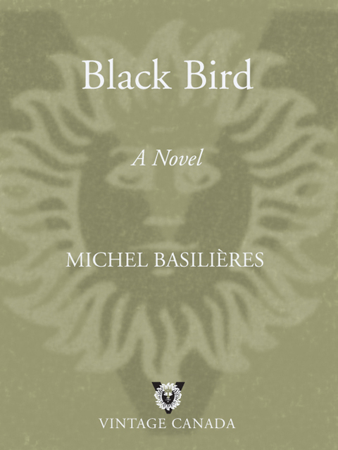 Cover image for book Black Bird