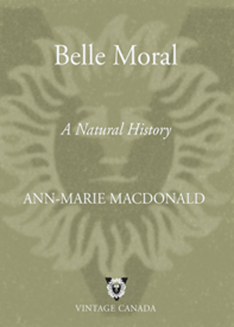 Cover image for book Belle Moral