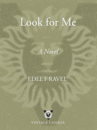 Look for Me