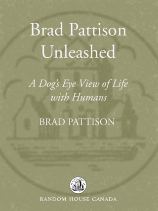 Brad Pattison Unleashed