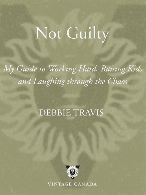 Cover image for book Not Guilty