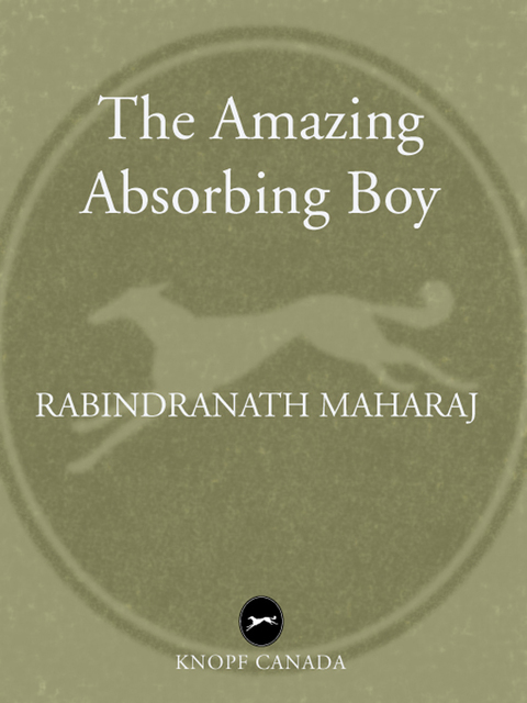 Cover image for book The Amazing Absorbing Boy