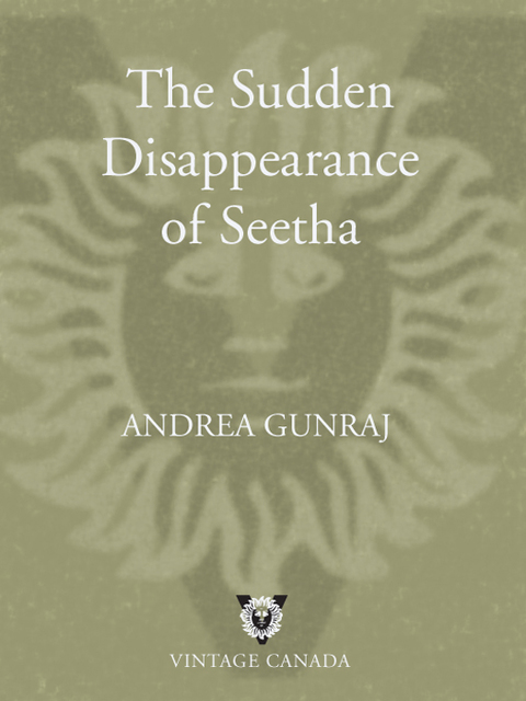 Cover image for book The Sudden Disappearance of Seetha