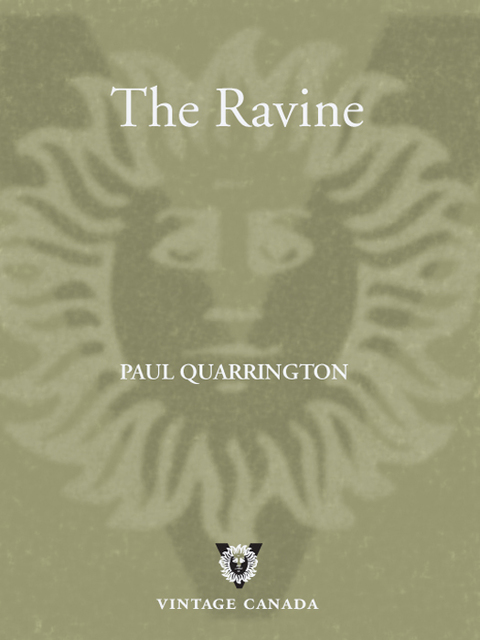 Cover image for book The Ravine