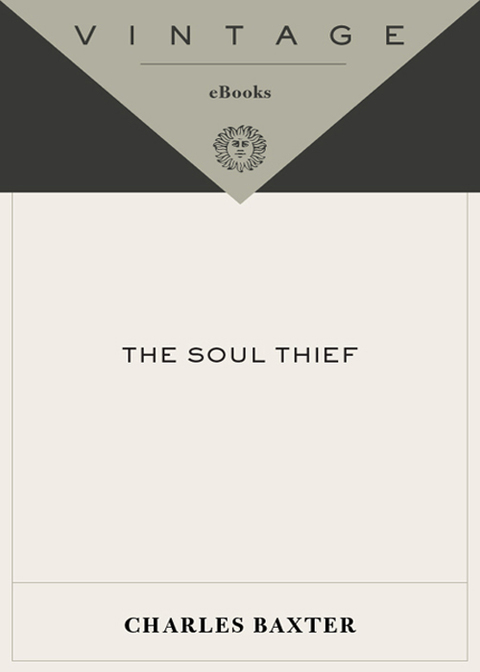 Cover image for book The Soul Thief