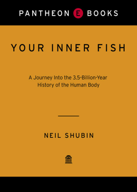 Cover image for book Your Inner Fish