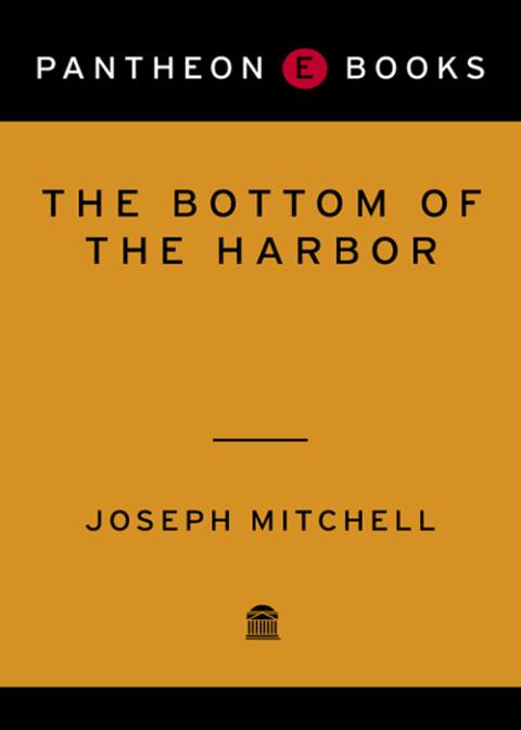 Cover image for book The Bottom of the Harbor