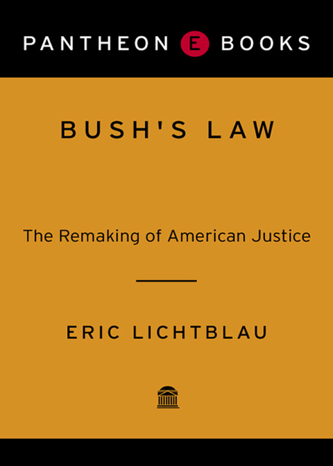 Cover image for book Bush's Law