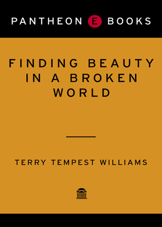 Finding Beauty in a Broken World