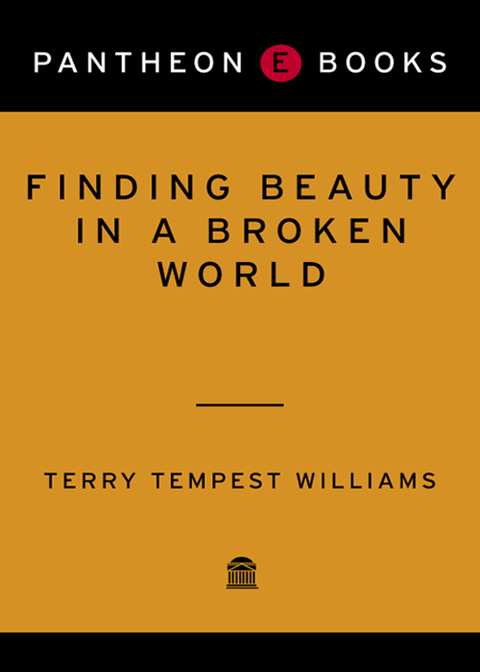 Cover image for book Finding Beauty in a Broken World
