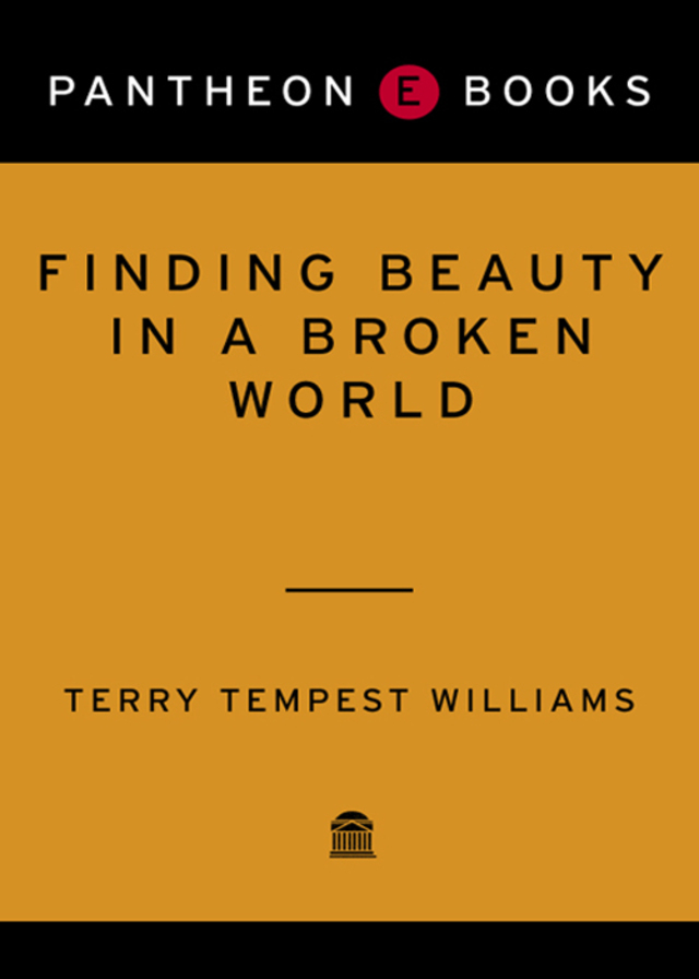 Finding Beauty in a Broken World
