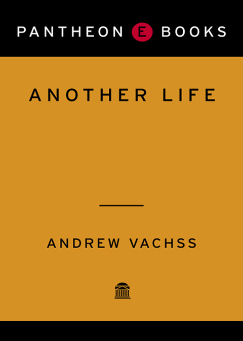 Cover image for book Another Life