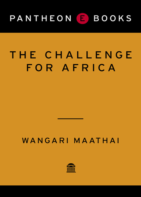 Cover image for book The Challenge for Africa