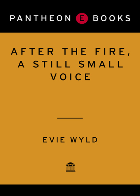 Cover image for book After the Fire, a Still Small Voice