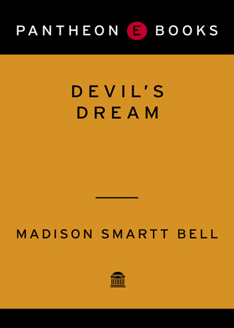 Cover image for book Devil's Dream