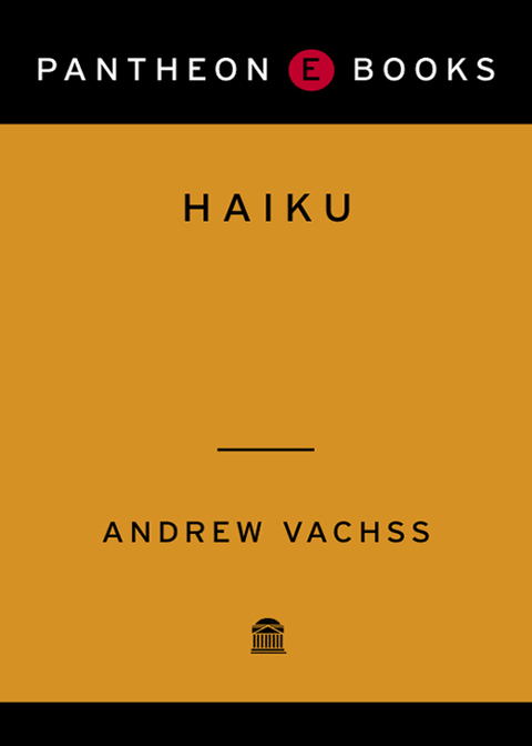 Cover image for book Haiku: A Novel