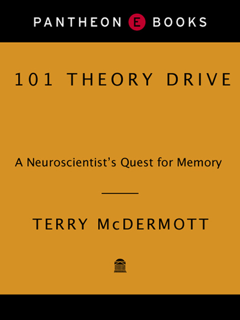 Cover image for book 101 Theory Drive