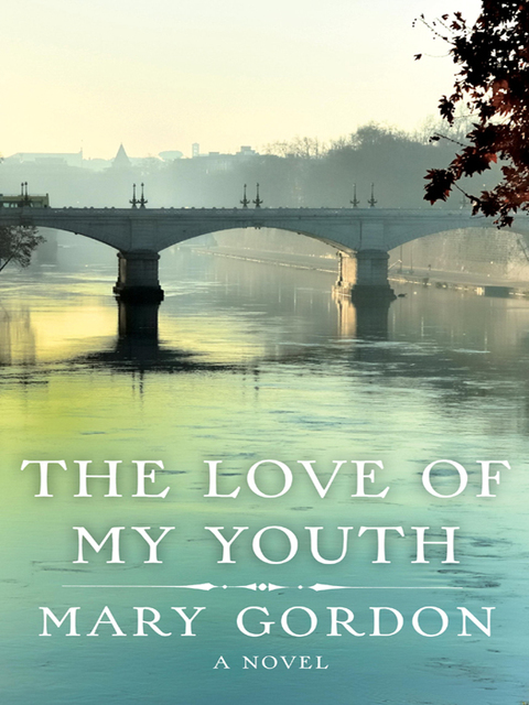 Cover image for book The Love of My Youth