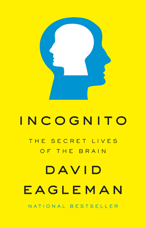 Cover image for book Incognito