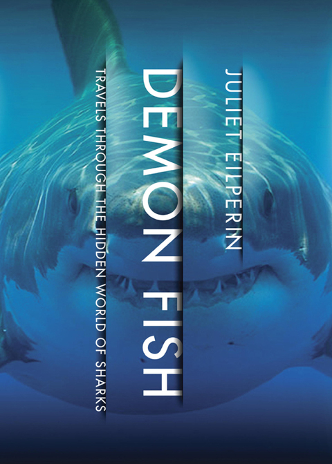 Cover image for book Demon Fish