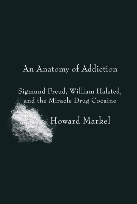 Cover image for book An Anatomy of Addiction