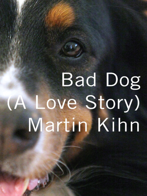 Cover image for book Bad Dog