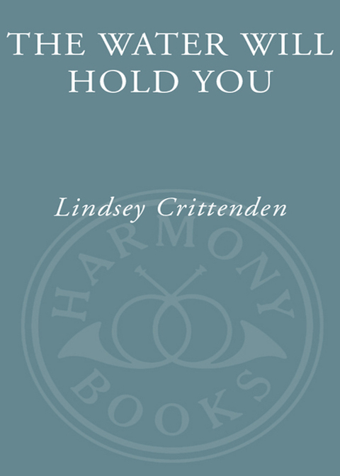 Cover image for book The Water Will Hold You