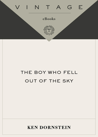 The Boy Who Fell Out of the Sky