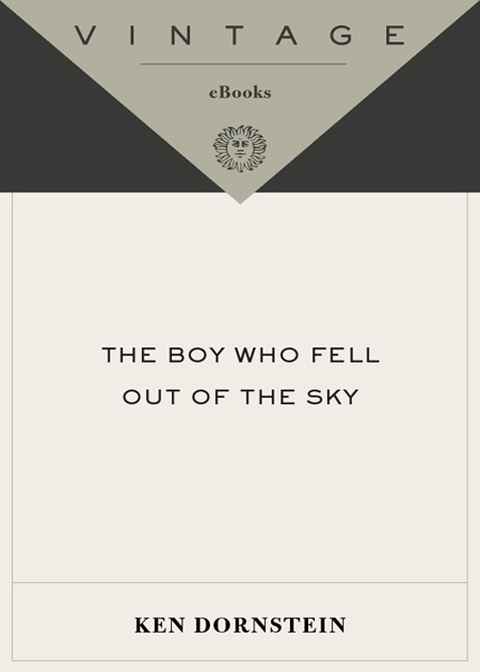 Cover image for book The Boy Who Fell Out of the Sky
