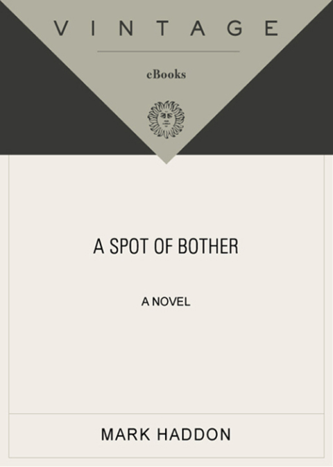 Cover image for book A Spot of Bother