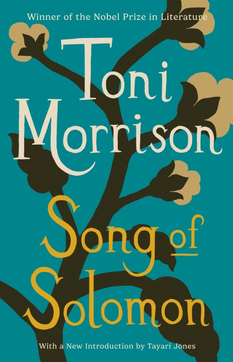 Cover image for book Song of Solomon