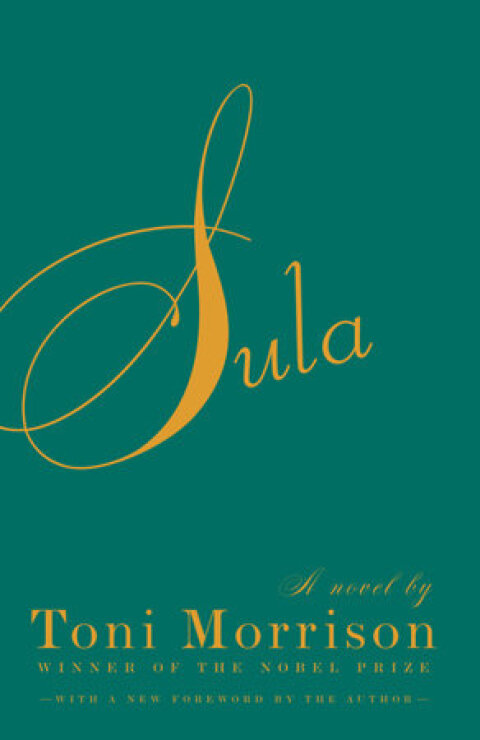 Cover image for book Sula