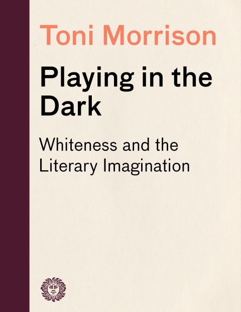 Cover image for book Playing in the Dark
