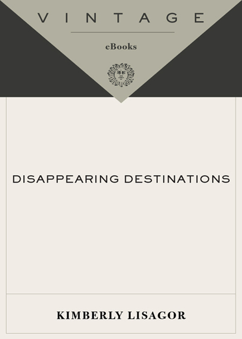 Cover image for book Disappearing Destinations