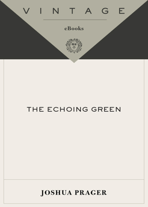 Cover image for book The Echoing Green