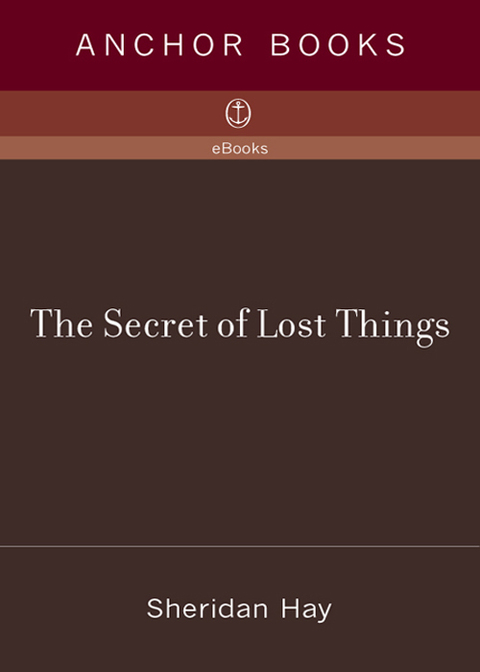 Cover image for book The Secret of Lost Things