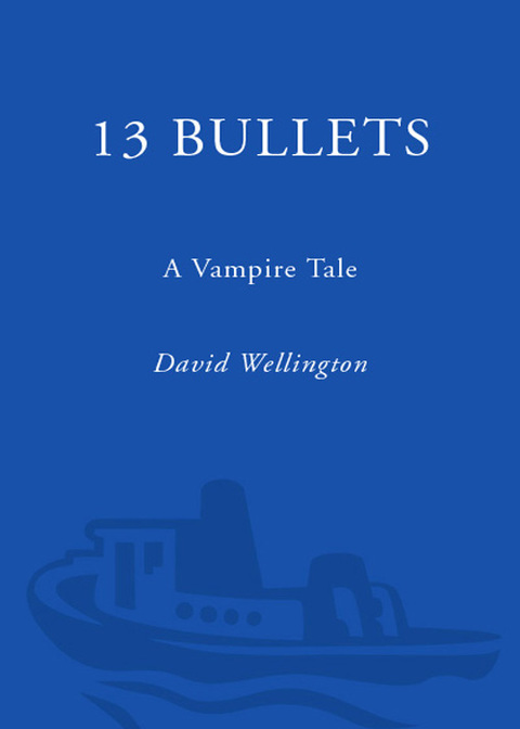 Cover image for book 13 Bullets