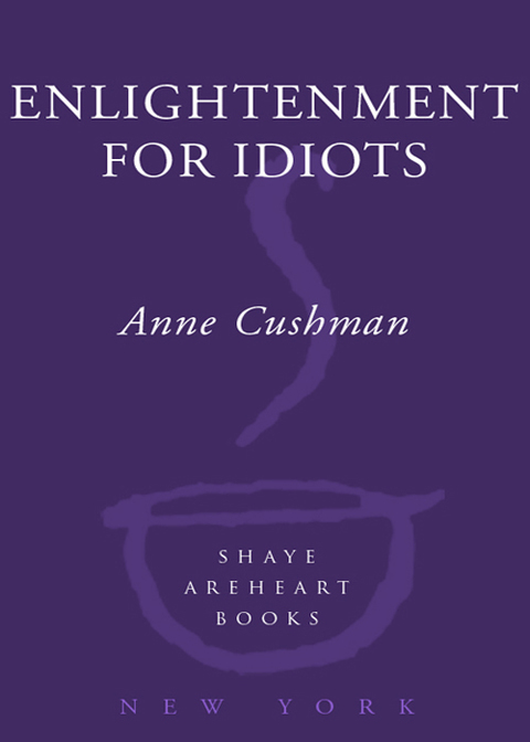Cover image for book Enlightenment for Idiots