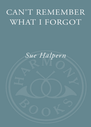 Can't Remember What I Forgot