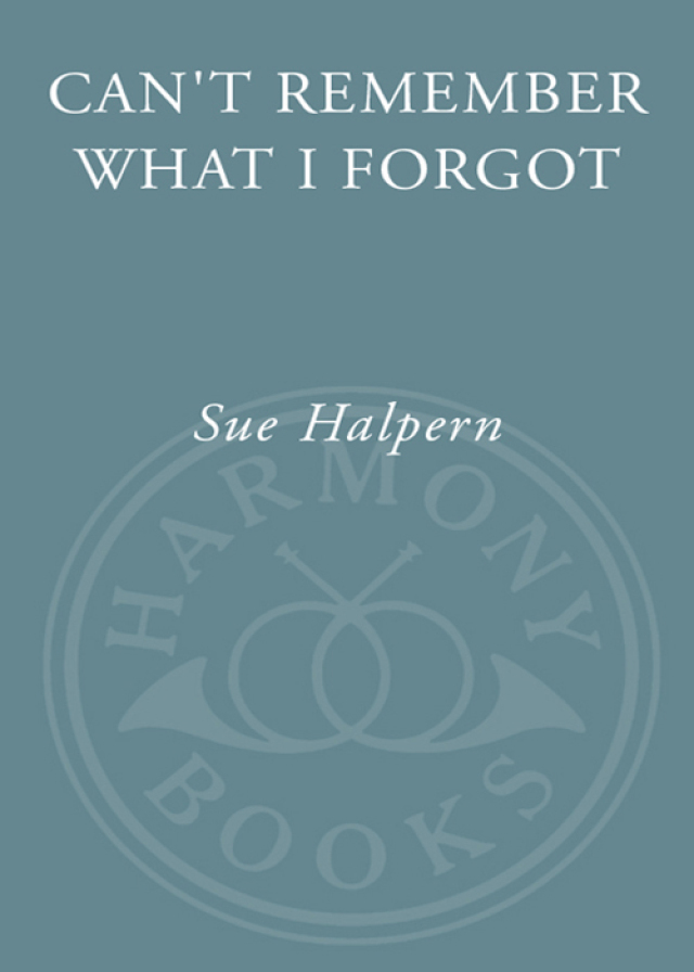 Can't Remember What I Forgot