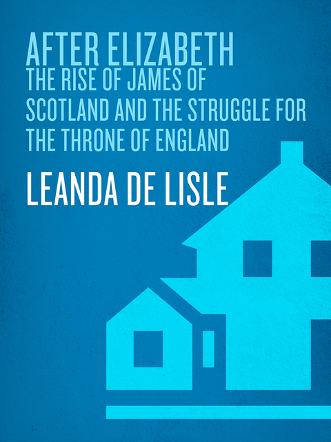 Cover image for book After Elizabeth
