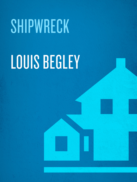 Cover image for book Shipwreck