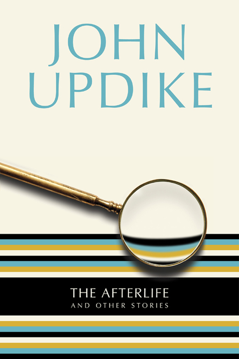 Cover image for book The Afterlife