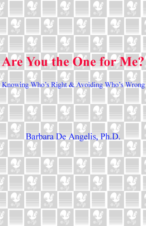 Cover image for book Are You the One for Me?