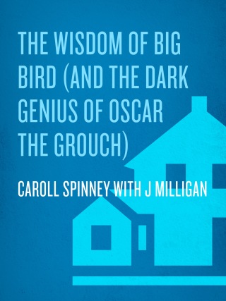 The Wisdom of Big Bird (and the Dark Genius of Oscar the Grouch)