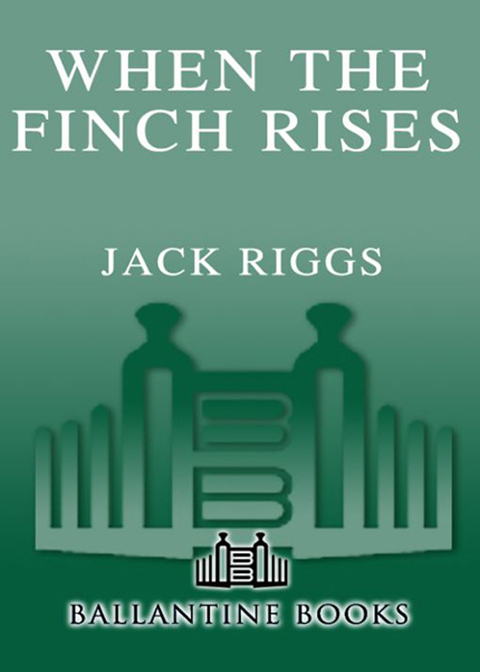 Cover image for book When the Finch Rises