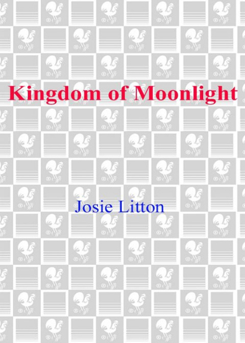 Cover image for book Kingdom of Moonlight
