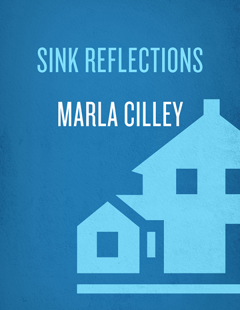 Cover image for book Sink Reflections