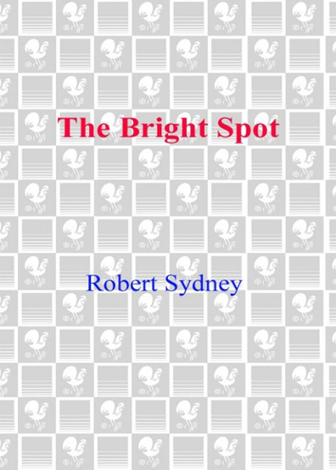 Cover image for book The Bright Spot