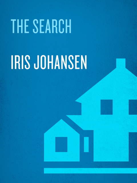 Cover image for book The Search
